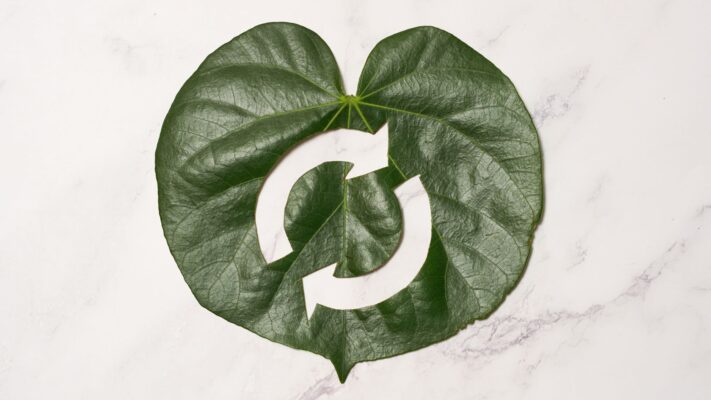 ECONOMIA CIRCULAR