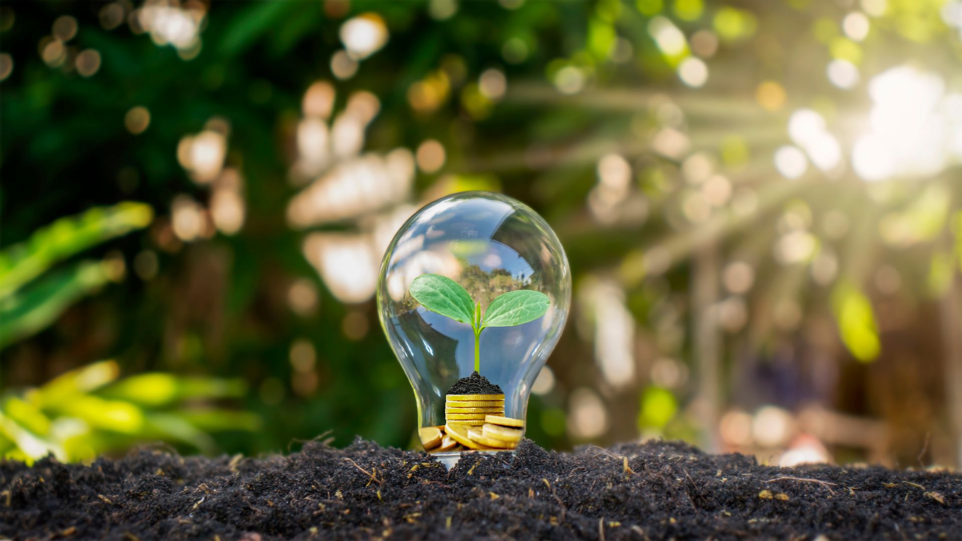 EFICIENCIA ENERGÉTICA