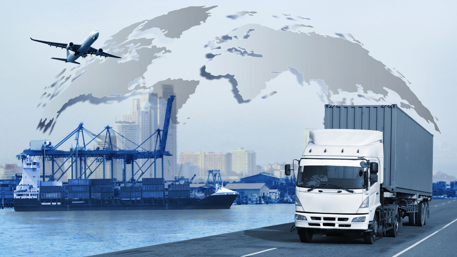 exportación