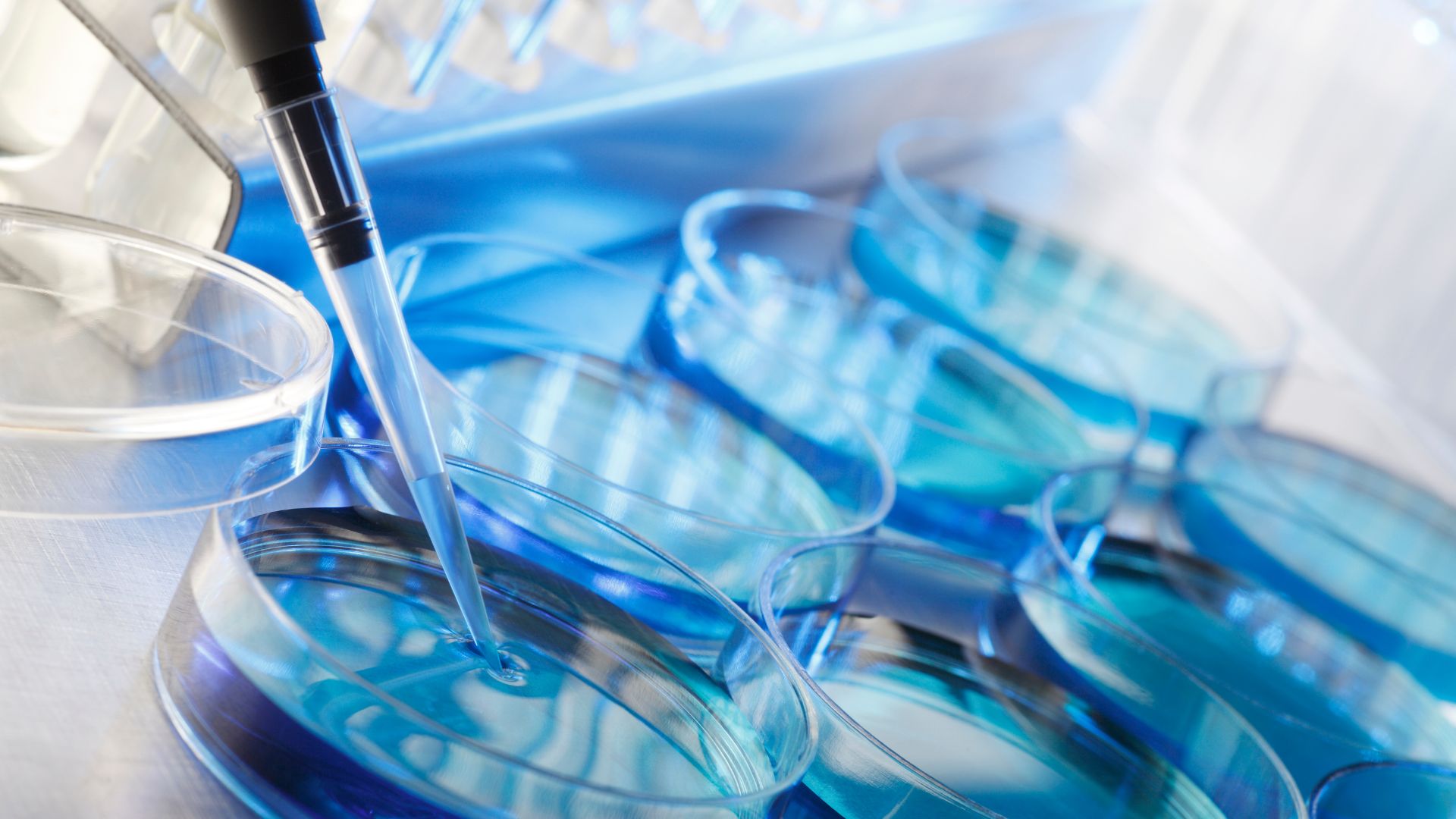 Investigación científica