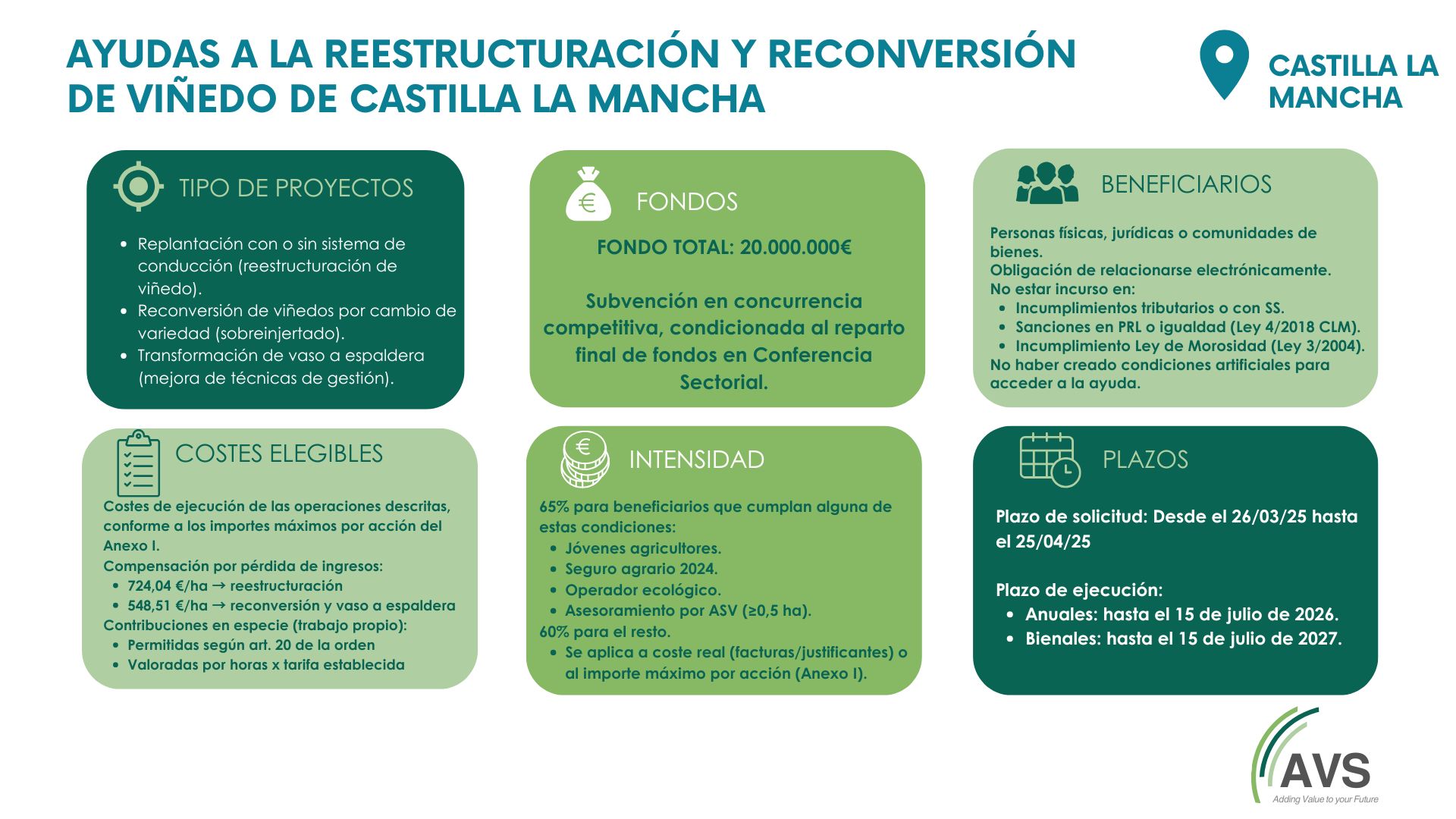 Reestructuración y Reconversión de Viñedo 