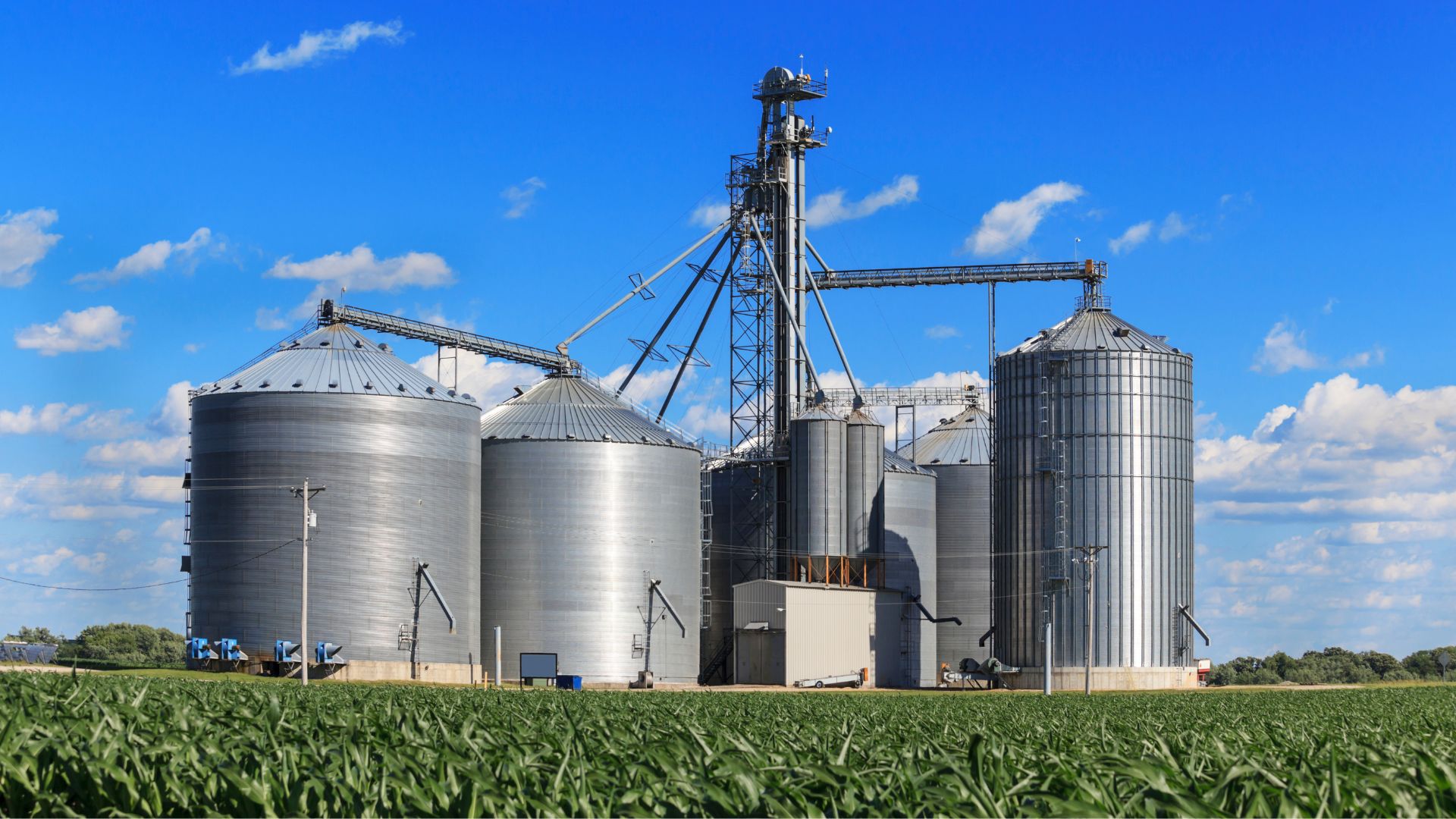 INVERSIONES AGROALIMENTARIAS