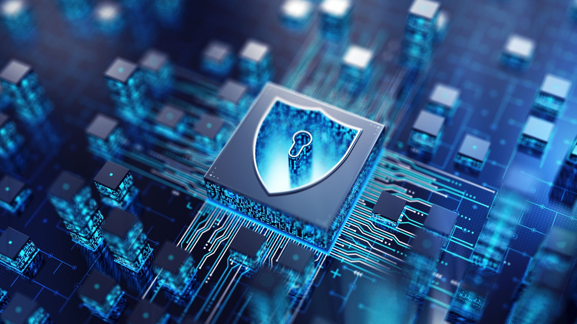 ciberseguridad 