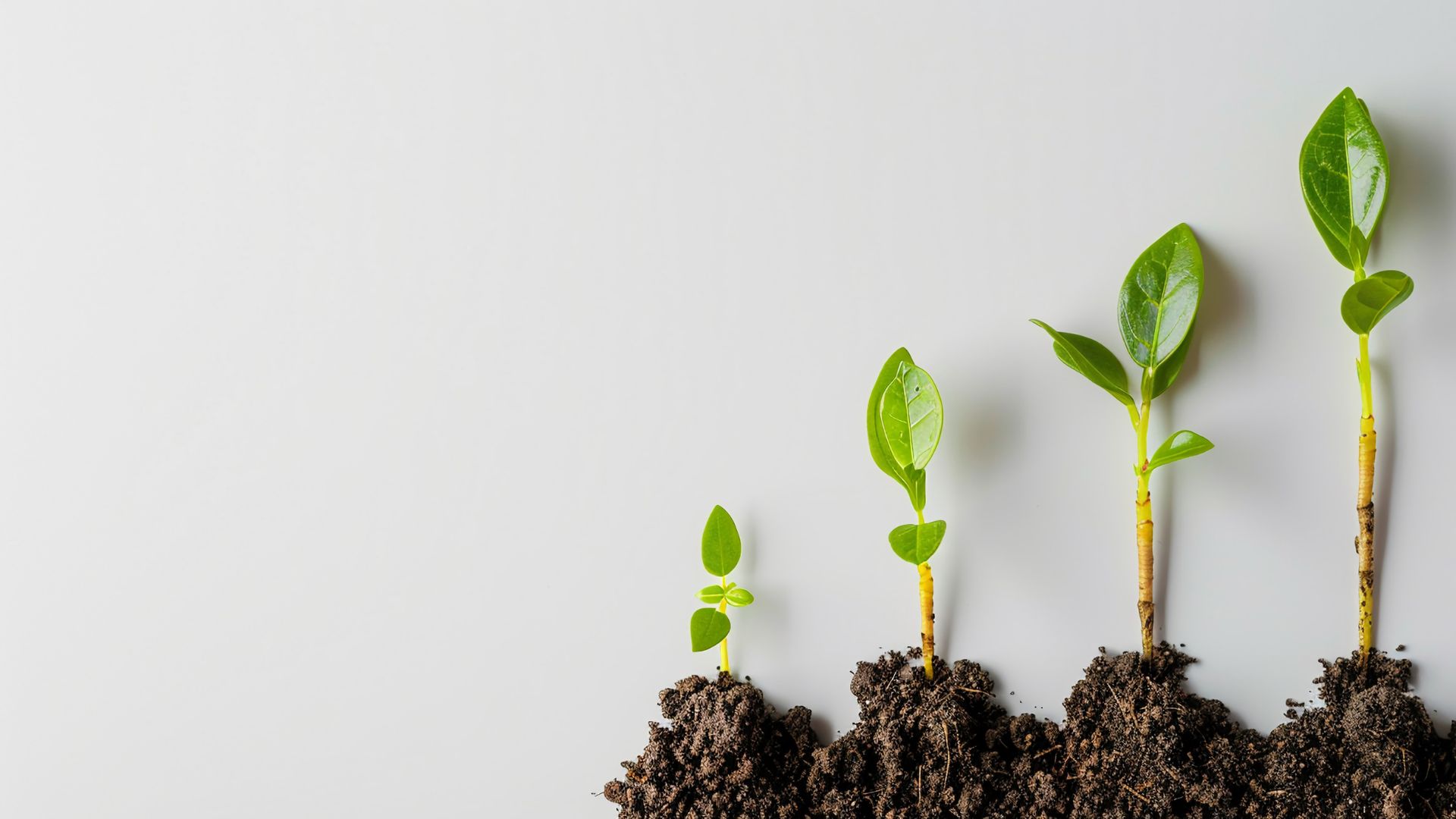 Ayudas al emprendimiento 2025