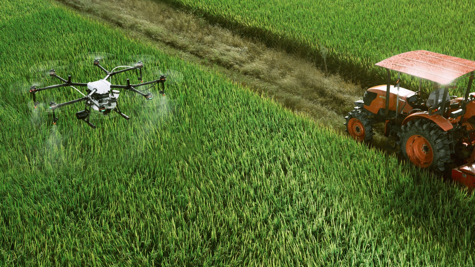 Industria auxiliar agrícola