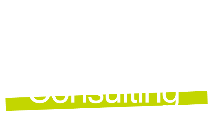 AVS Consulting