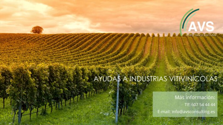 industria vitivinicola