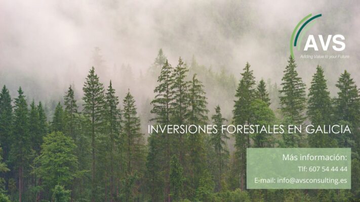 inversiones forestales