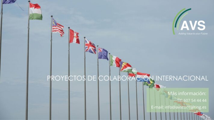 Proyectos de Colaboración Internacional 2025