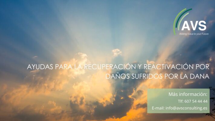 EMPRESAS DANA