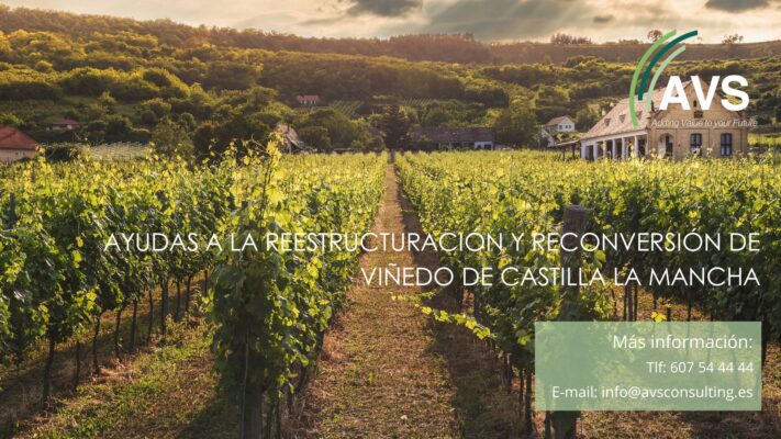 Reestructuración y Reconversión de Viñedo