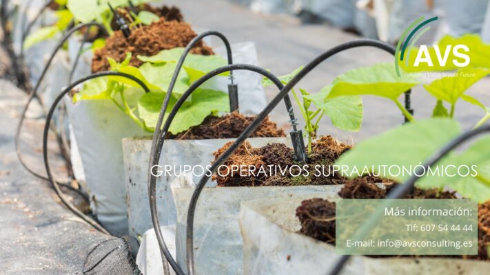 Grupos Operativos Supraautonómicos